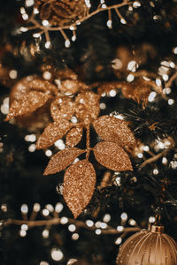 Close-up of christmas tree