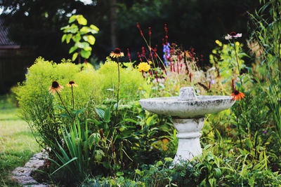 View of sculpture in garden