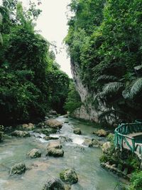 Scenic view of waterfall in forest against sky