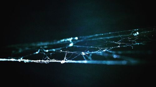 Close-up of spider web against black background