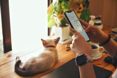 Hand holding cat with smart phone