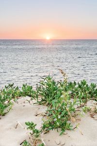 Scenic view of sea against clear sky during sunset
