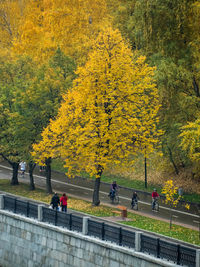 People in park by autumn trees