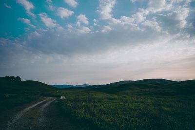 Scenic view of landscape against sky