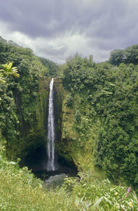 Scenic view of waterfall in forest against sky