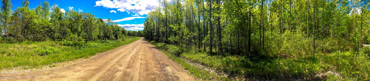 Road amidst trees against sky