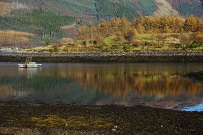 Scenic view of lake in forest during autumn