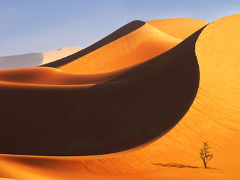 Close-up of desert against orange sky