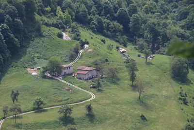 High angle view of road amidst trees and buildings