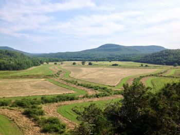 Scenic view of agricultural field against sky