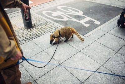 Low section of person with text on street