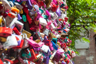 Close-up of padlocks on railing