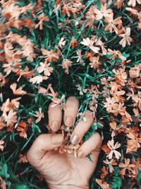 Low section of man with autumn leaves