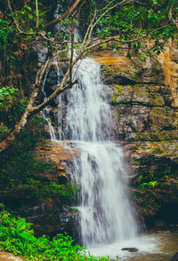 Scenic view of waterfall in forest