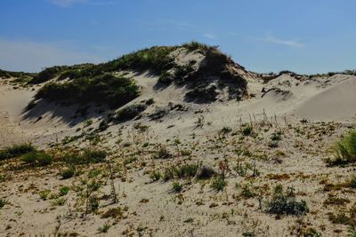 Scenic view of desert against sky