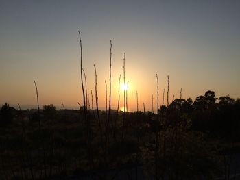 Silhouette landscape against clear sky during sunset