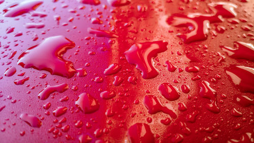 Extreme close up of red flower