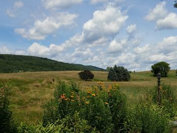 Scenic view of field against cloudy sky