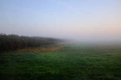 Scenic view of landscape against sky