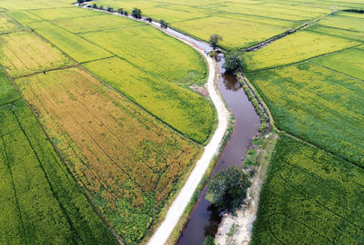 High angle view of agricultural field