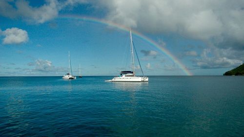 Sailboat sailing in sea against sky