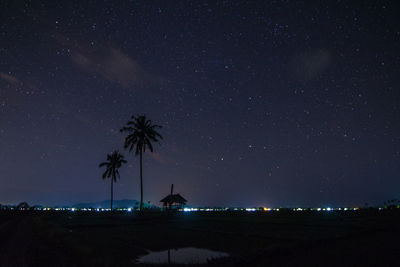 Silhouette palm trees against sky at night