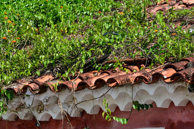 Full frame shot of roof tiles