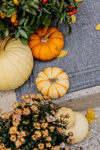 Decorative pumpkins on a porch step during the autumn season with fall foliage