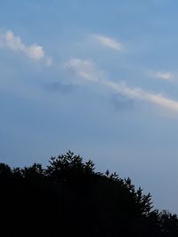 Low angle view of silhouette trees against sky