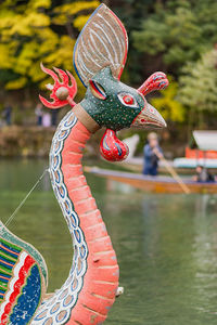 Close-up of a bird perched