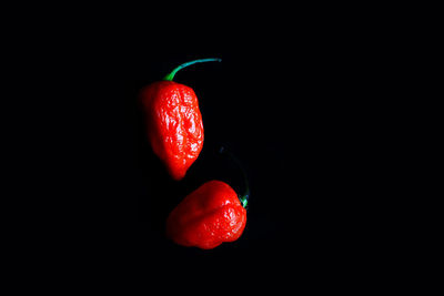 Close-up of red chili pepper against black background