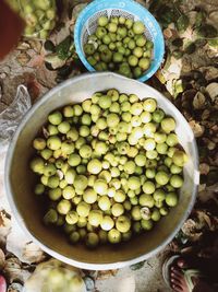 High angle view of fruits in container