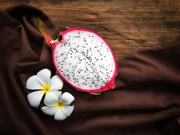 High angle view of hand holding white flowering plant