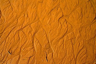 Full frame shot of orange pattern