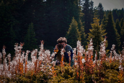 Close-up of flowering plants on field