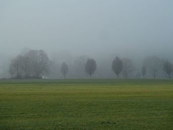 Scenic view of field against sky during foggy weather