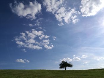 Trees on field against sky