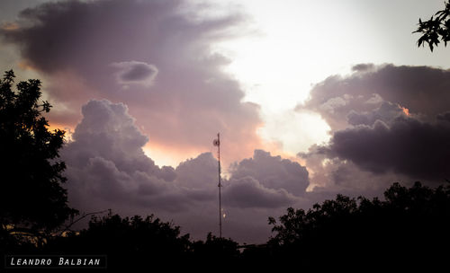 Low angle view of silhouette trees against sky