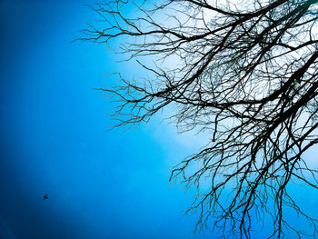 Low angle view of bare tree against clear blue sky