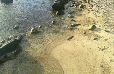 View of rocks at beach