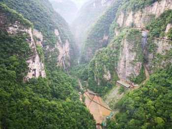 High angle view of trees and mountains