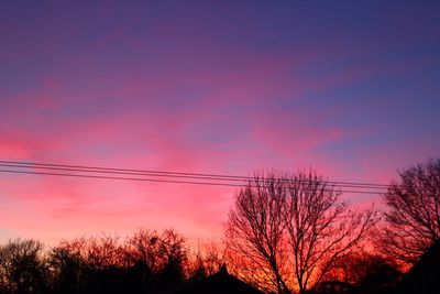 Silhouette of trees at sunset