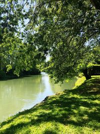 Scenic view of lake amidst trees