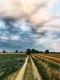 Empty road amidst agricultural field against sky