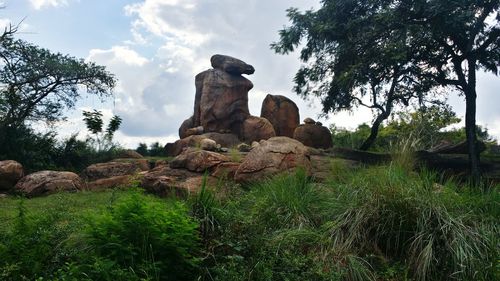 Rock formations on landscape