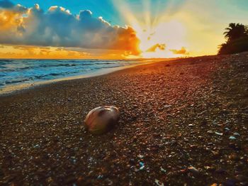 Scenic view of sea at sunset