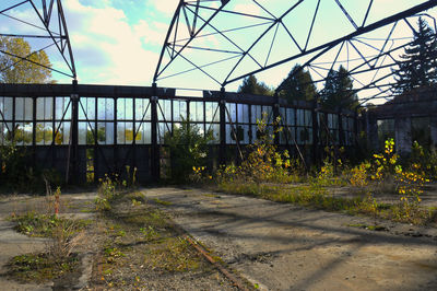 Plants in greenhouse against sky