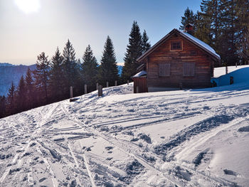 Snow covered land and trees by building against sky