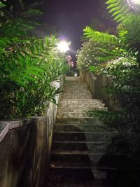 Low angle view of stairs in park