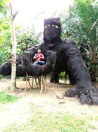 Monkey sitting on a field